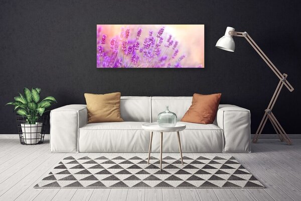 Obraz Canvas Levanduľovej pole slnko kvety 125x50 cm