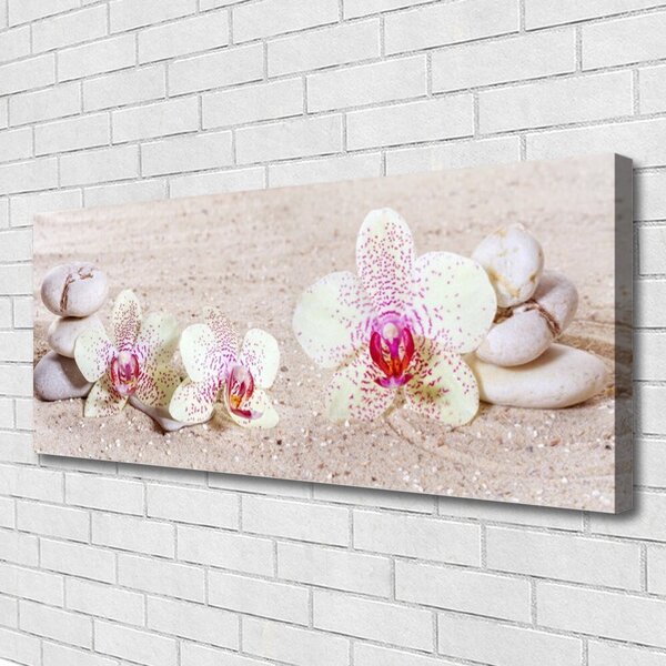 Obraz Canvas Orchidea kamene zen písek 125x50 cm