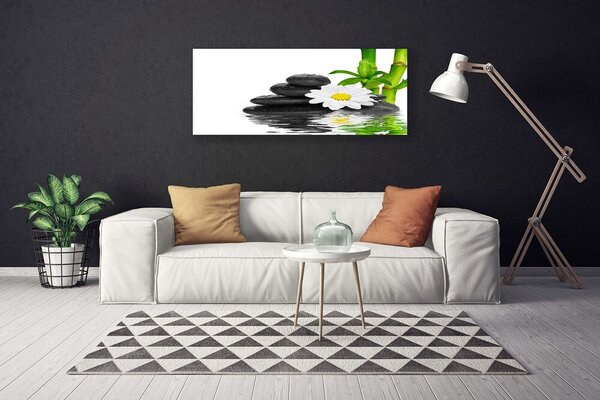 Obraz Canvas Kamene zen bambus výhonky 125x50 cm