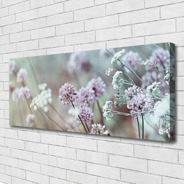 Obraz Canvas Poľné kvety lúka príroda 125x50 cm