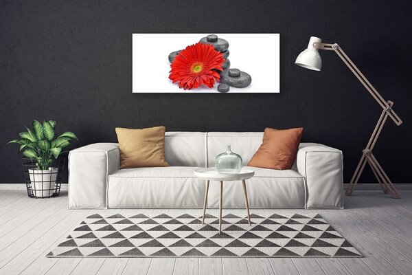 Obraz Canvas Kvety gerbery kamene zen 125x50 cm