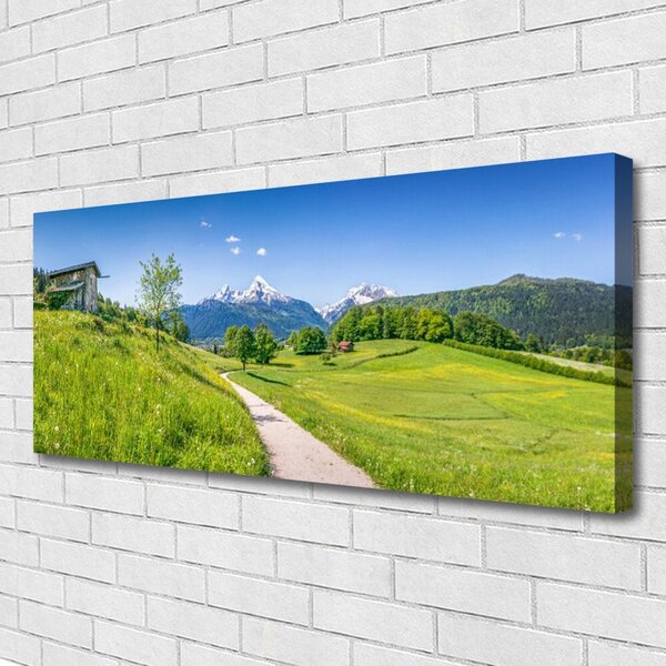 Obraz Canvas Hory lúka chodník údolí 125x50 cm