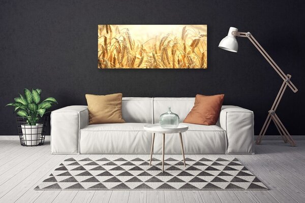 Obraz Canvas Obilie pole klasy príroda 125x50 cm