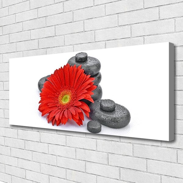 Obraz Canvas Kvety gerbery kamene zen 125x50 cm
