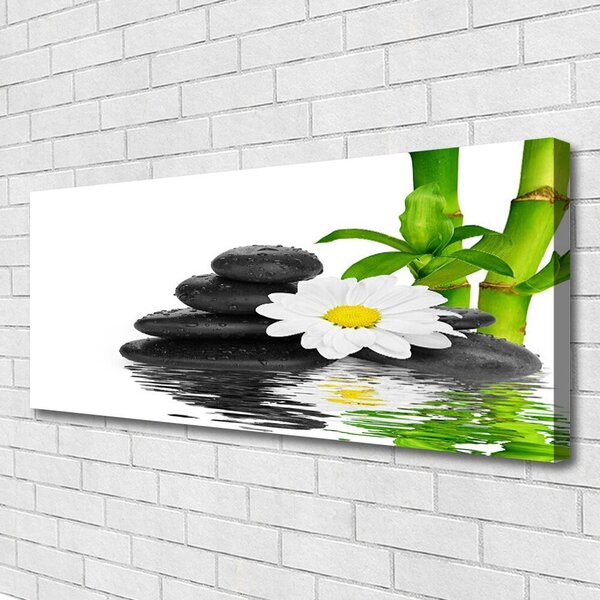 Obraz Canvas Kamene zen bambus výhonky 125x50 cm