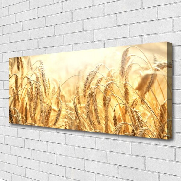 Obraz Canvas Obilie pole klasy príroda 125x50 cm