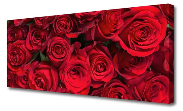 Obraz Canvas Červené ruže kvety príroda 125x50 cm