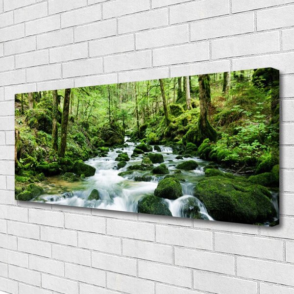 Obraz Canvas Les potok vodopády rieka 125x50 cm