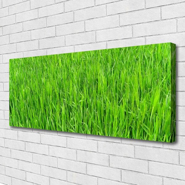 Obraz Canvas Zelená tráva príroda trávnik 125x50 cm