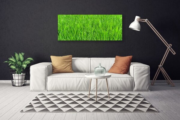 Obraz Canvas Zelená tráva príroda trávnik 125x50 cm