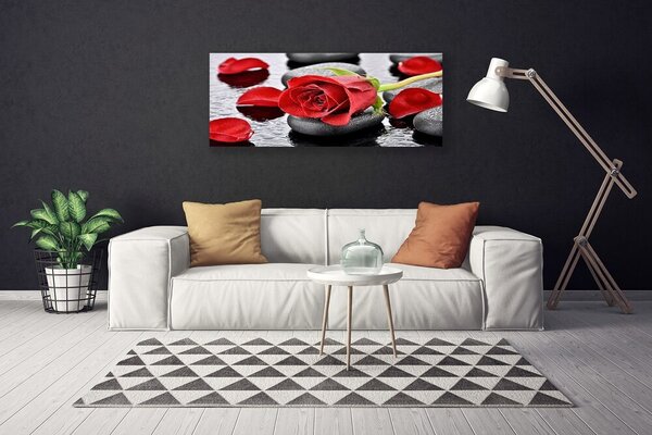 Obraz Canvas Ruže kvet kamene zen 125x50 cm