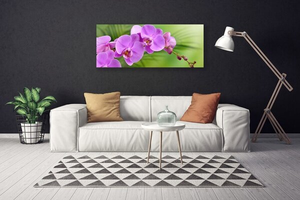 Obraz Canvas Vstavač orchidea kvety 125x50 cm