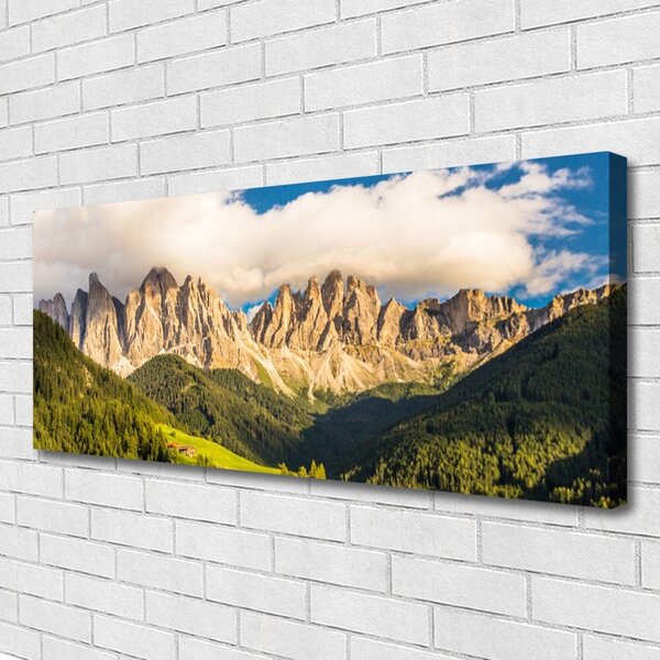 Obraz Canvas Vrcholy hor mraky lesy lúka 125x50 cm