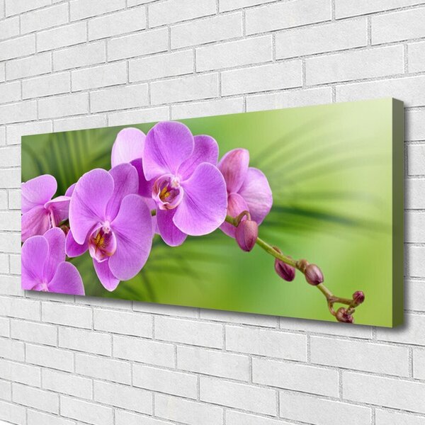 Obraz Canvas Vstavač orchidea kvety 125x50 cm