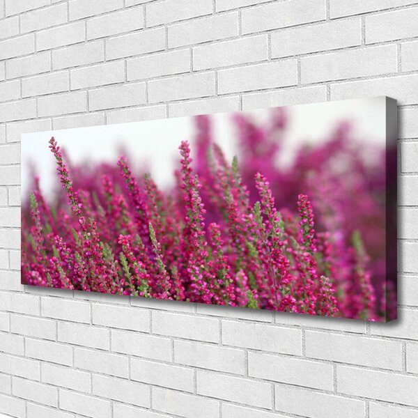 Obraz Canvas Kvety lúka príroda 125x50 cm