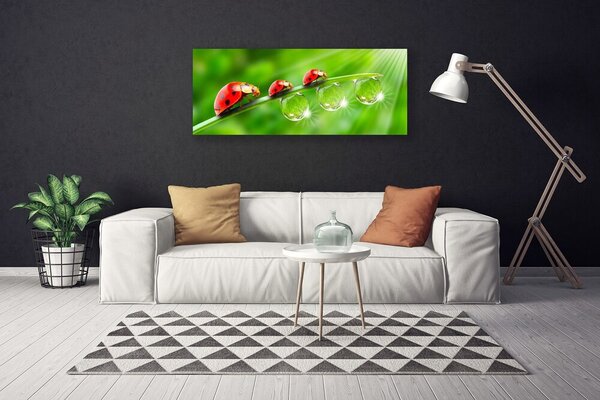 Obraz Canvas Lienky na listu kvapky 125x50 cm