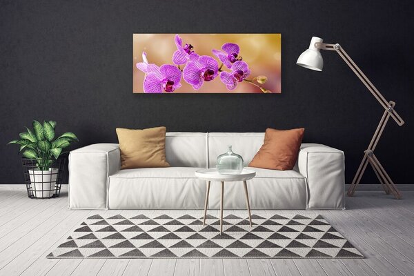 Obraz Canvas Orchidea výhonky kvety príroda 125x50 cm