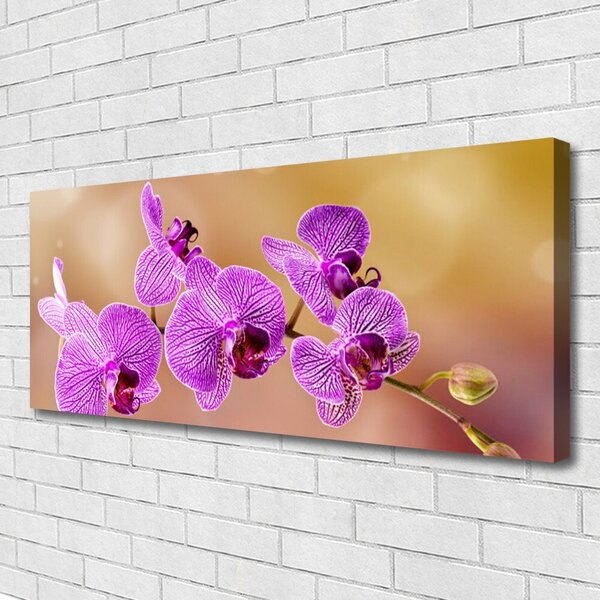 Obraz Canvas Orchidea výhonky kvety príroda 125x50 cm