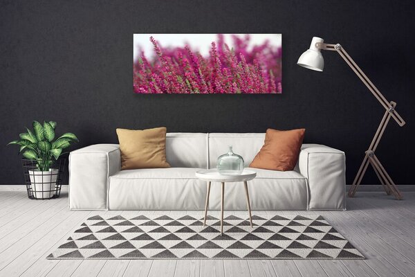Obraz Canvas Kvety lúka príroda 125x50 cm