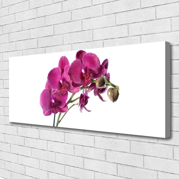 Obraz Canvas Orchidea kvety príroda 125x50 cm
