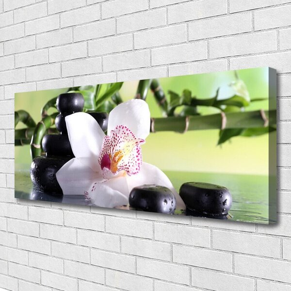 Obraz Canvas Orchidea kamene bambus 125x50 cm