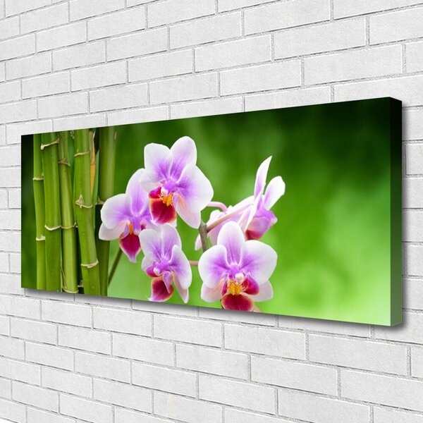 Obraz Canvas Bambus orchidea kvety zen 125x50 cm
