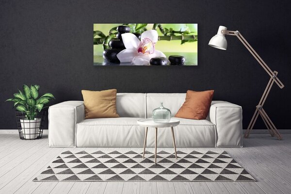 Obraz Canvas Orchidea kamene bambus 125x50 cm
