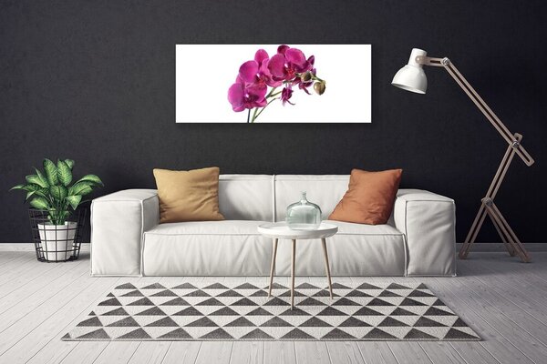 Obraz Canvas Orchidea kvety príroda 125x50 cm