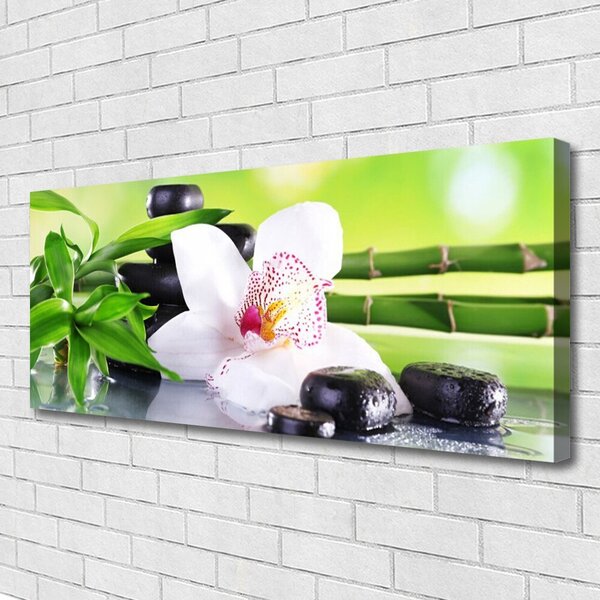 Obraz Canvas Orchidea kamene zen bambus 125x50 cm
