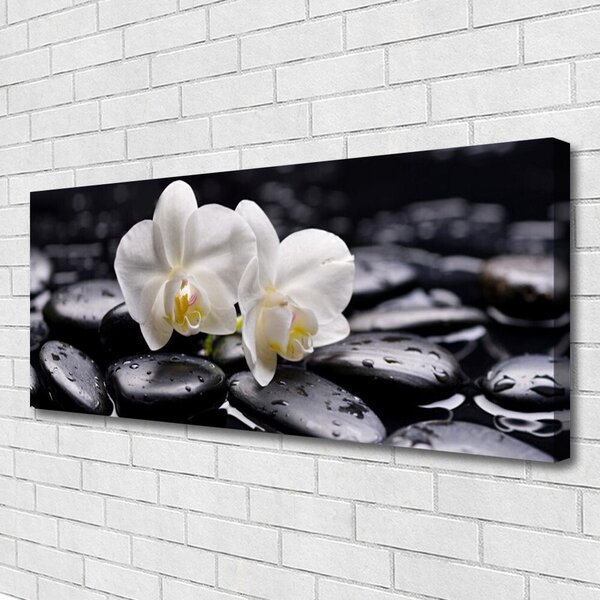 Obraz Canvas Kamene zen biela orchidea 125x50 cm