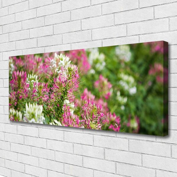Obraz Canvas Poľné kvety lúka príroda 125x50 cm
