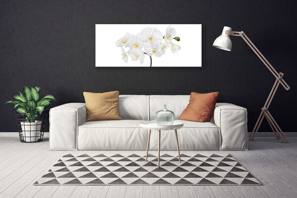 Obraz Canvas Biela orchidea kvety 125x50 cm