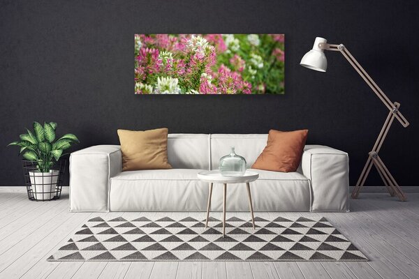 Obraz Canvas Poľné kvety lúka príroda 125x50 cm