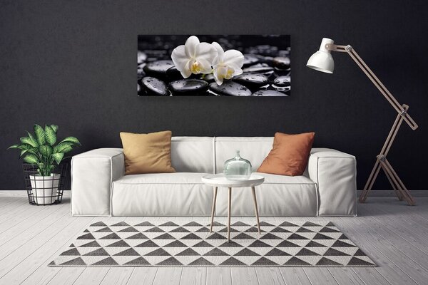 Obraz Canvas Kamene zen biela orchidea 125x50 cm