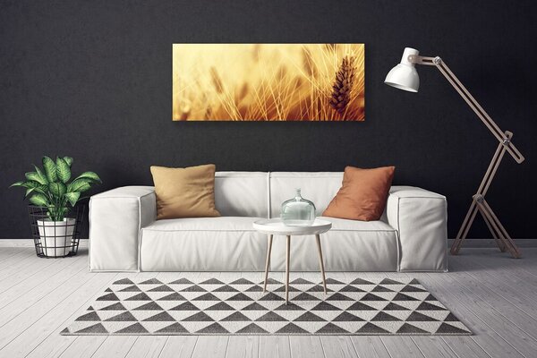Obraz Canvas Pšenica rastlina príroda 125x50 cm