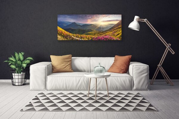 Obraz Canvas Hora lúka slnko krajina 125x50 cm