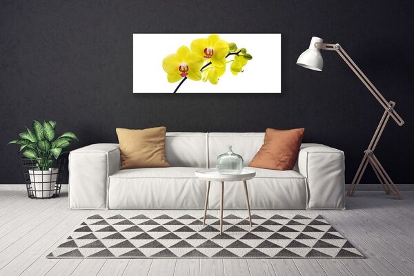 Obraz Canvas Kvety rastlina príroda 125x50 cm