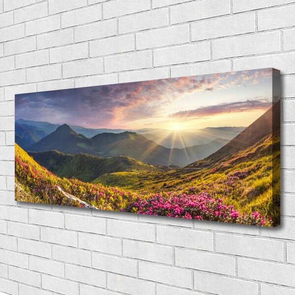 Obraz Canvas Hora lúka slnko krajina 125x50 cm