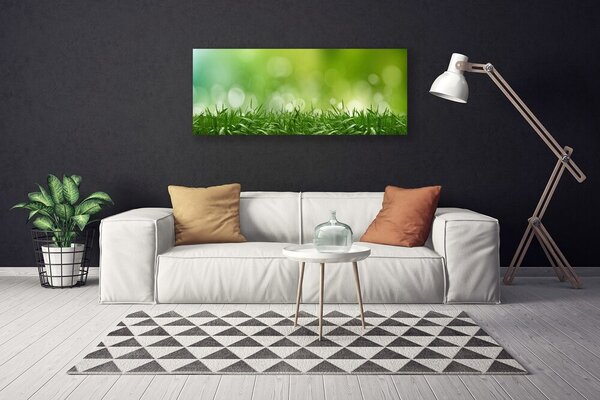 Obraz Canvas Tráva rastlina príroda 125x50 cm