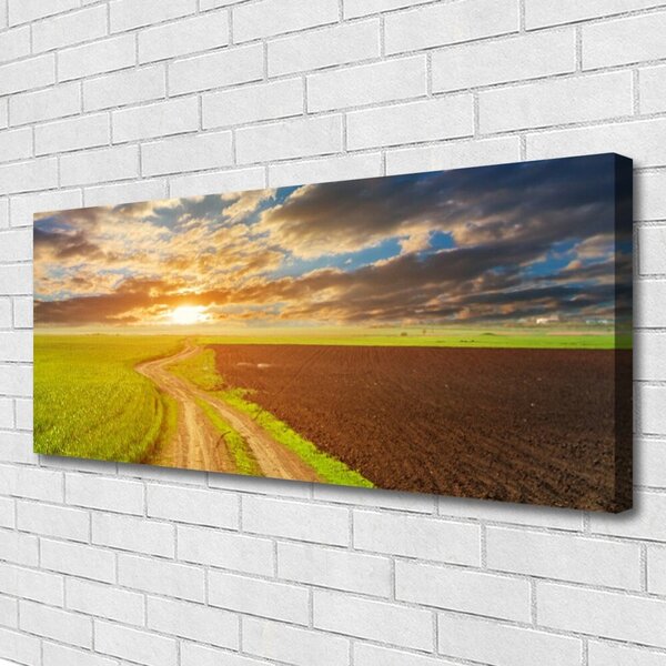 Obraz Canvas Pole nebo slnko príroda 125x50 cm