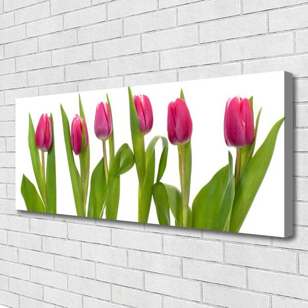 Obraz Canvas Tulipány kvety rastlina 125x50 cm