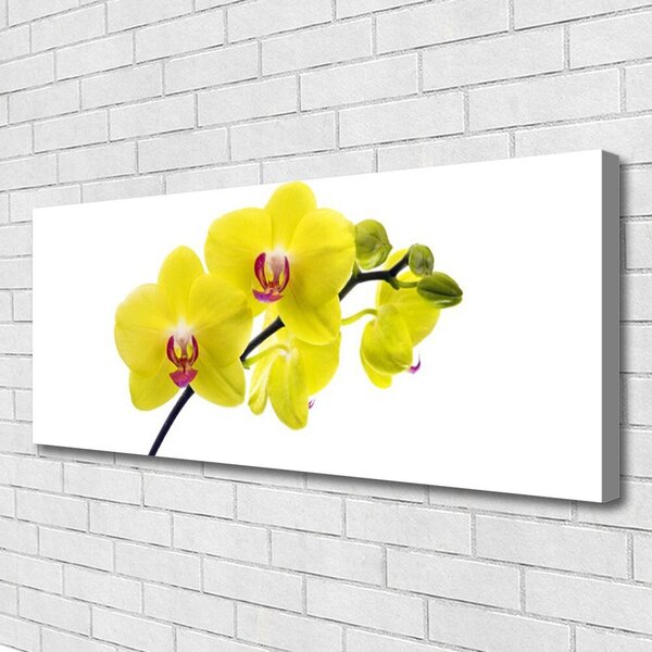 Obraz Canvas Kvety rastlina príroda 125x50 cm