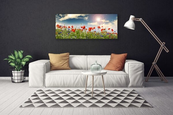 Obraz Canvas Lúka kvety slnko príroda 125x50 cm