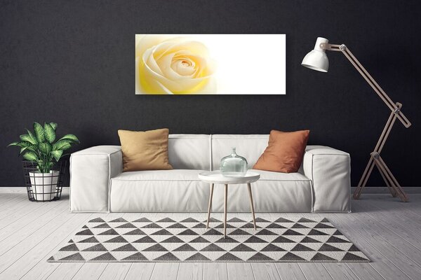 Obraz Canvas Ruže kvet rastlina 125x50 cm