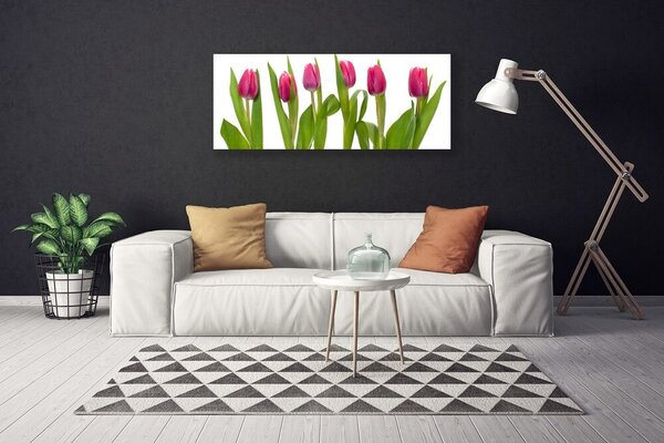 Obraz Canvas Tulipány kvety rastlina 125x50 cm