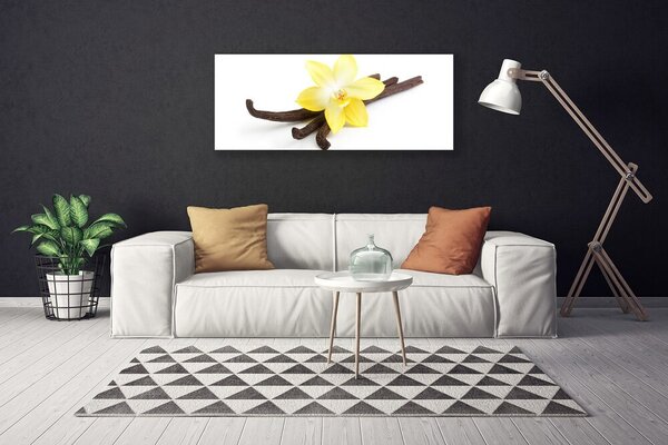 Obraz Canvas Vanilka rastlina príroda 125x50 cm