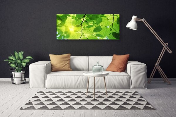 Obraz Canvas Listy príroda rastlina 125x50 cm