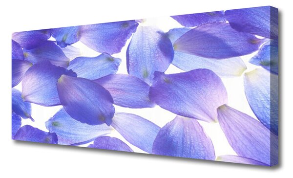 Obraz Canvas Plátky rastlina príroda 125x50 cm
