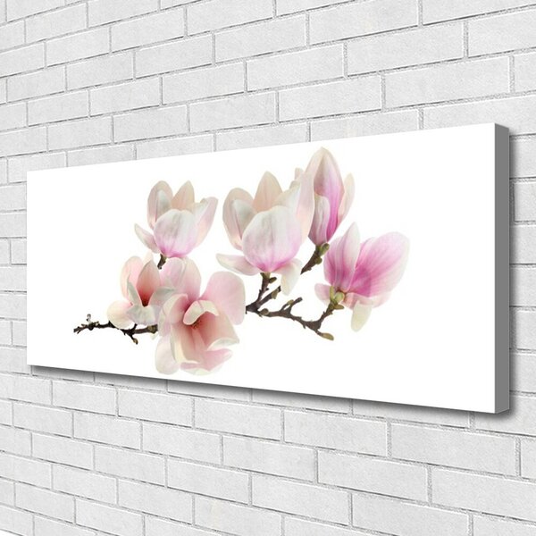 Obraz Canvas Kvety rastlina príroda 125x50 cm