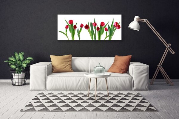 Obraz Canvas Tulipány kvety rastlina 125x50 cm